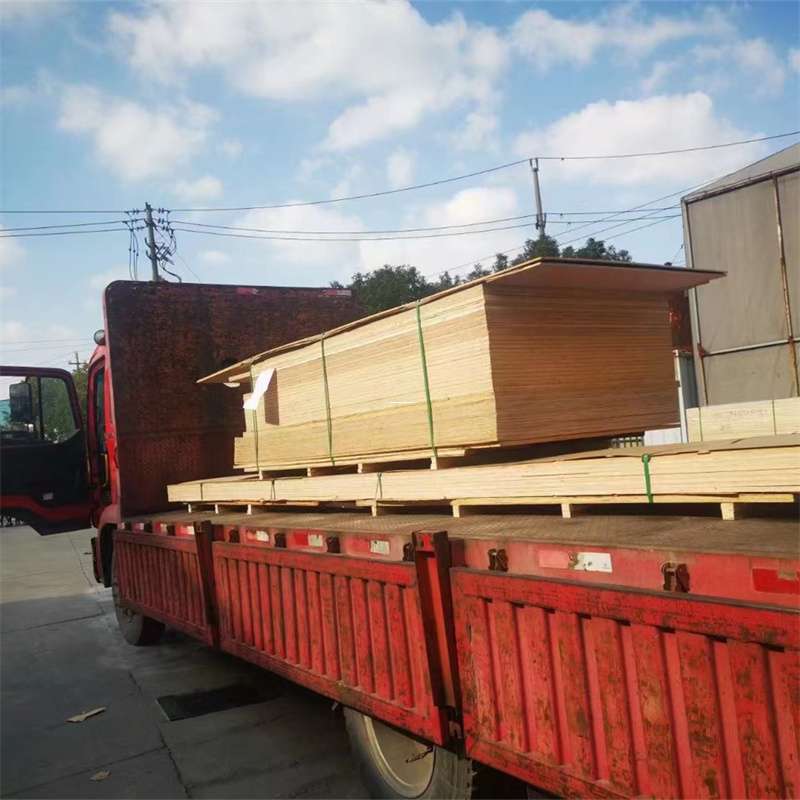 河北唐山路北至塔城货运专线，一站式物流服务助您成功